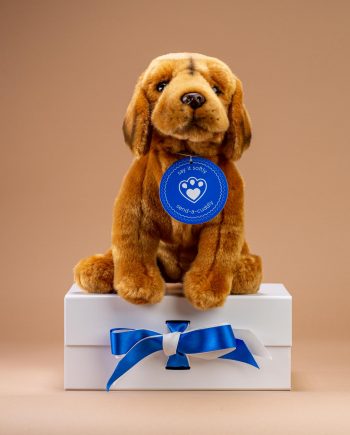 Hungarian Vizsla Soft Toy Dog