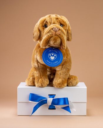 Dogue de Bordeaux Soft Toy Gift