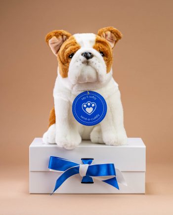 British Bulldog soft toy - send a cuddly