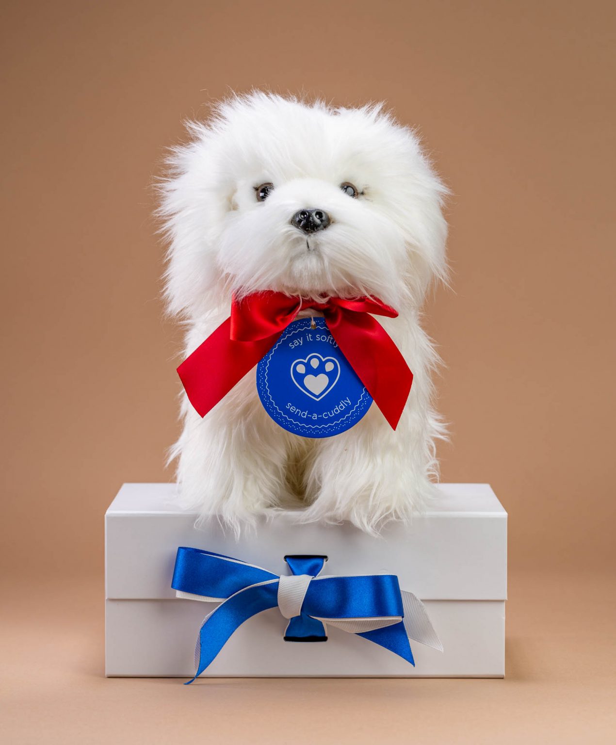 Maltese Cuddly soft toy dog - send a cuddly