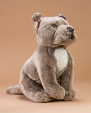 Staffordshire Blue Bull Terrier Soft Toy - Send a Cuddly