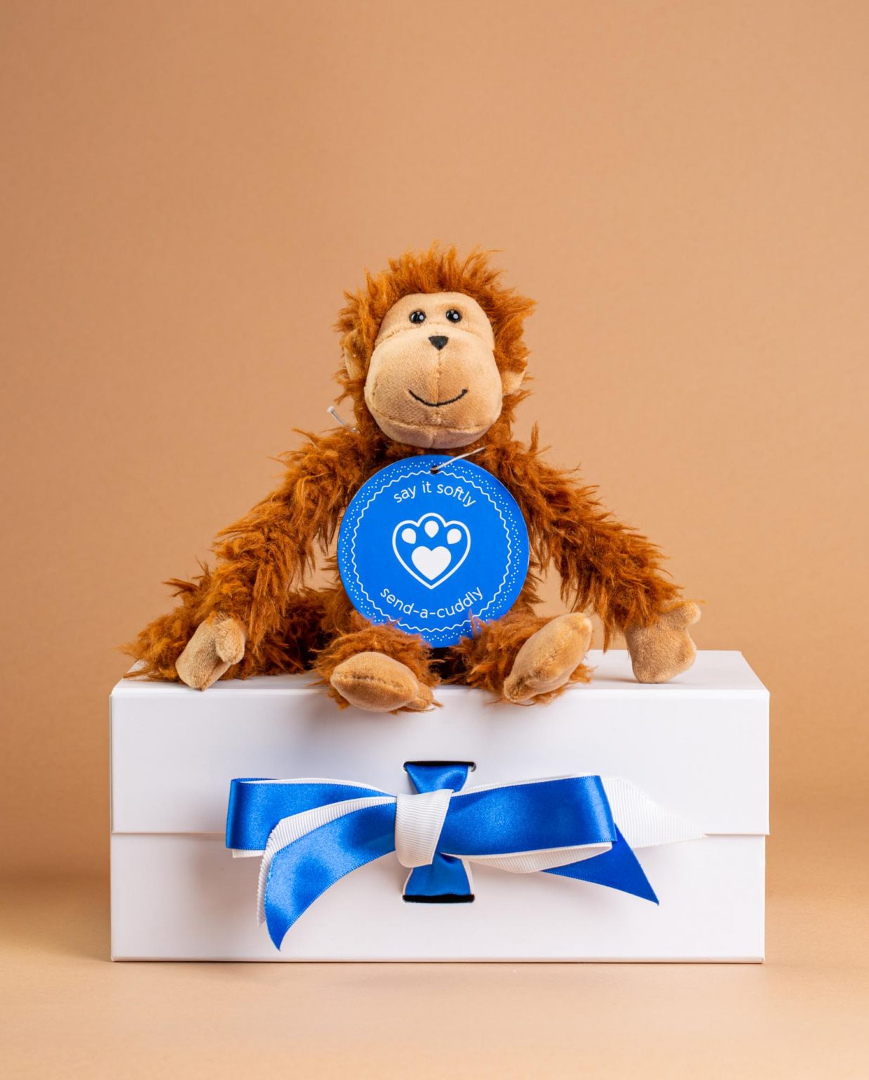 Jellycat Bonbon Monkey - Send A Cuddly