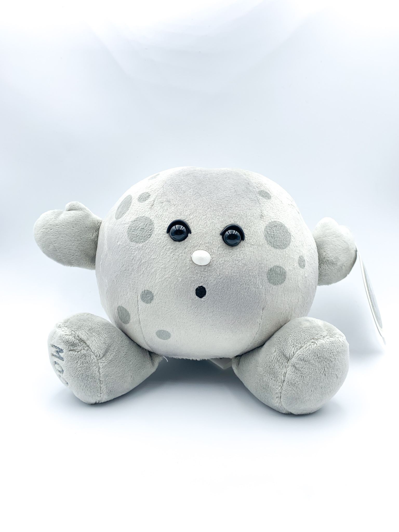 Moon Celestial Buddy