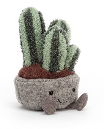 Cuddly Catcus gift - send a cuddly