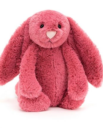 Bashful Cerise Bunny soft toy by Jellycat - Send a Cuddly