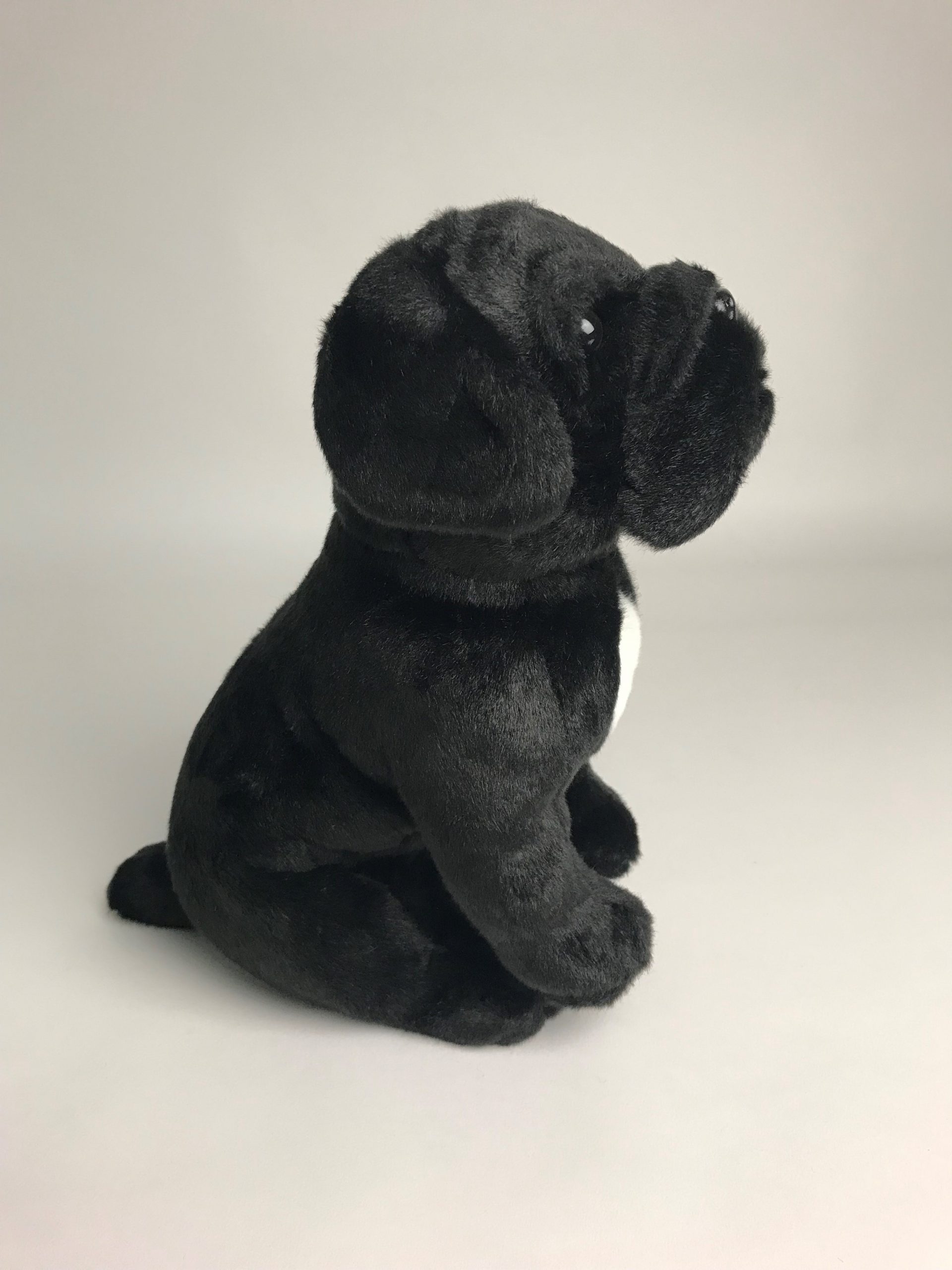 Cane Corso Soft Toy Dog Gift Dog lover's gift idea Send a Cuddly