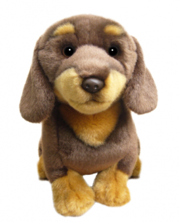 Chocolate and Red Dachshund soft toy dog - Send a Cuddly
