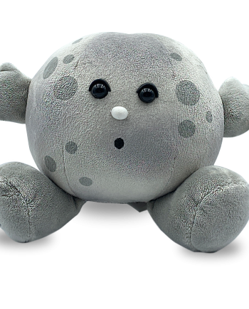 Moon soft toy- Send a Cuddly