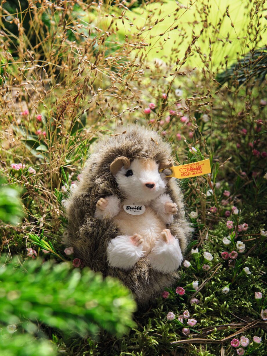 Baby Hedgehog soft toy by Steiff - Send a Cuddly