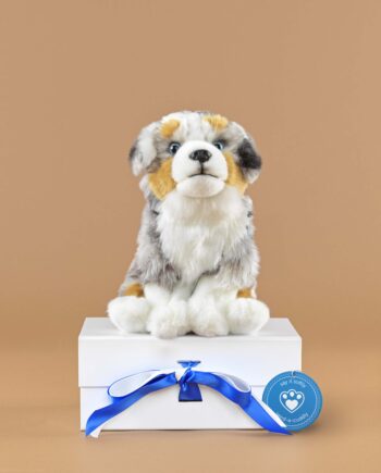 Australian Shepherd soft toy dog - send a cuddly