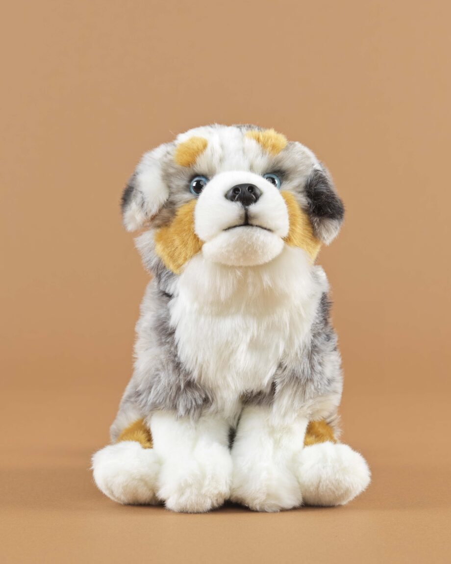 Australian Shepherd soft toy dog - send a cuddly