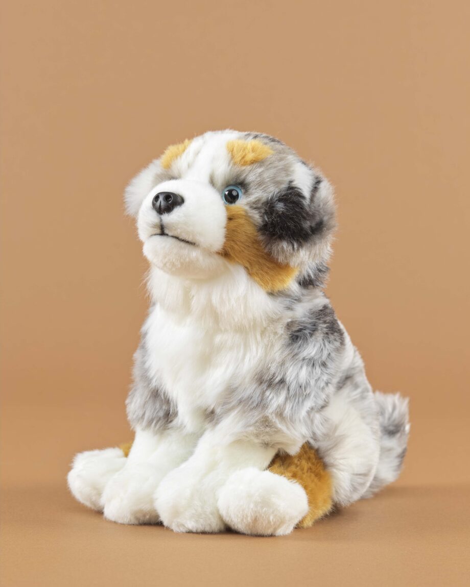 Australian Shepherd soft toy dog - send a cuddly