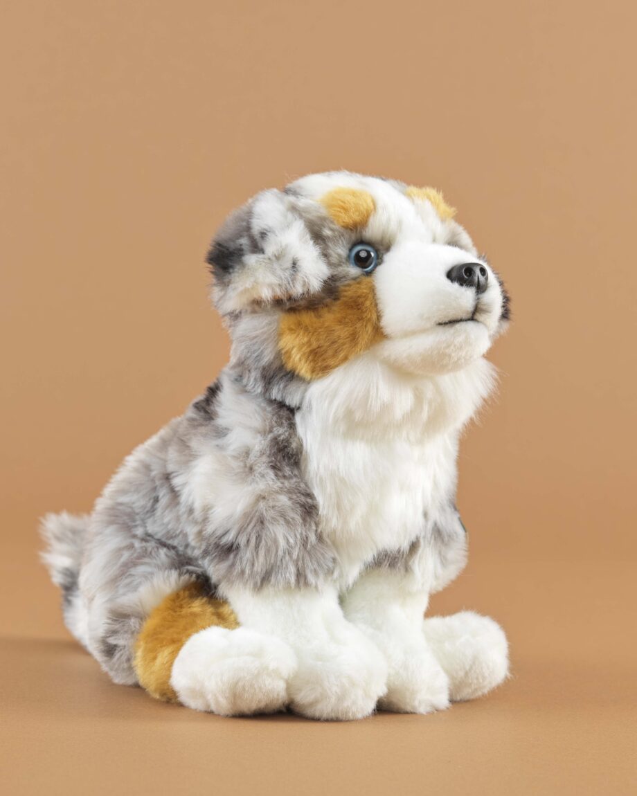 Australian Shepherd soft toy dog - send a cuddly