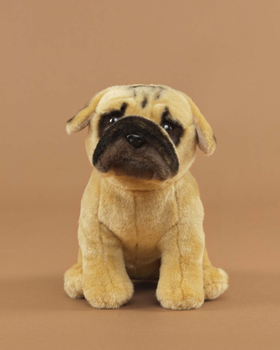 Bullmastiff soft toy dog - send a cuddly