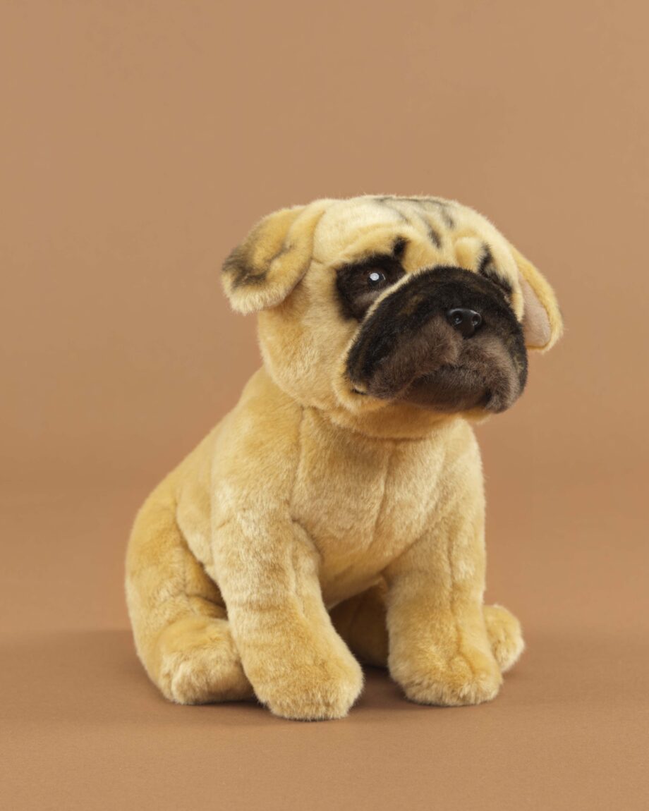 Bullmastiff soft toy dog - send a cuddly