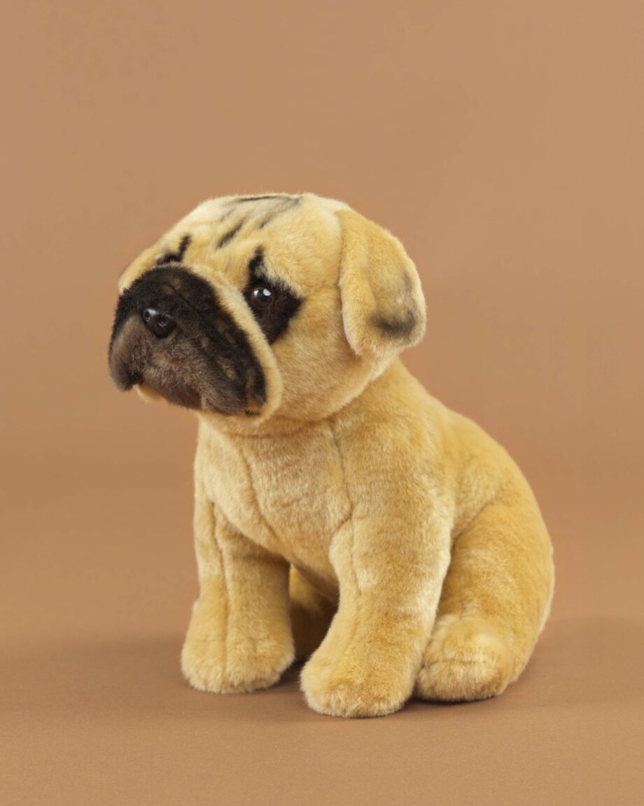 Bullmastiff soft toy dog - send a cuddly