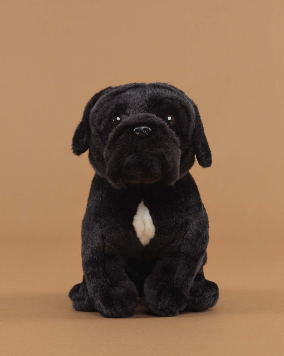 Cane Corso soft toy dog - send a cuddly
