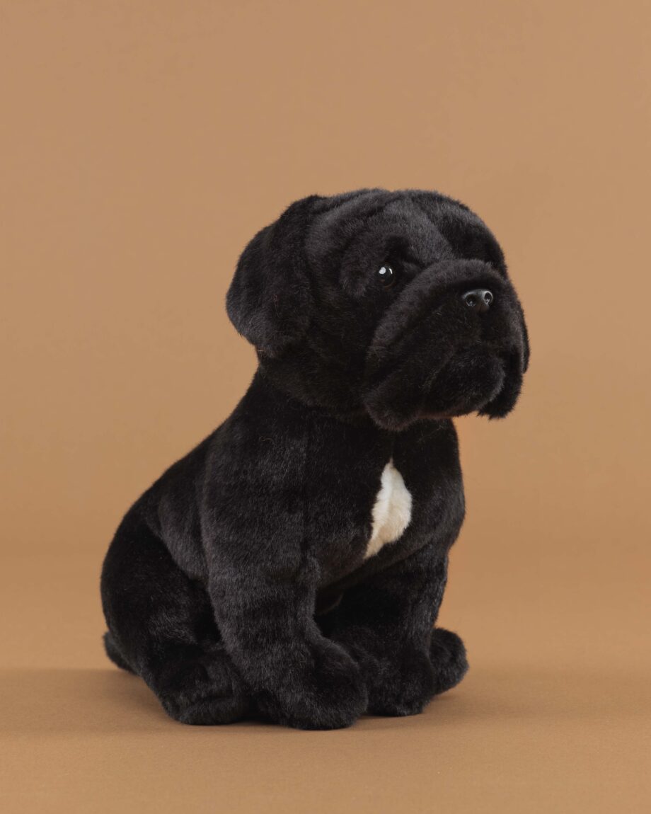 Cane Corso soft toy dog - send a cuddly