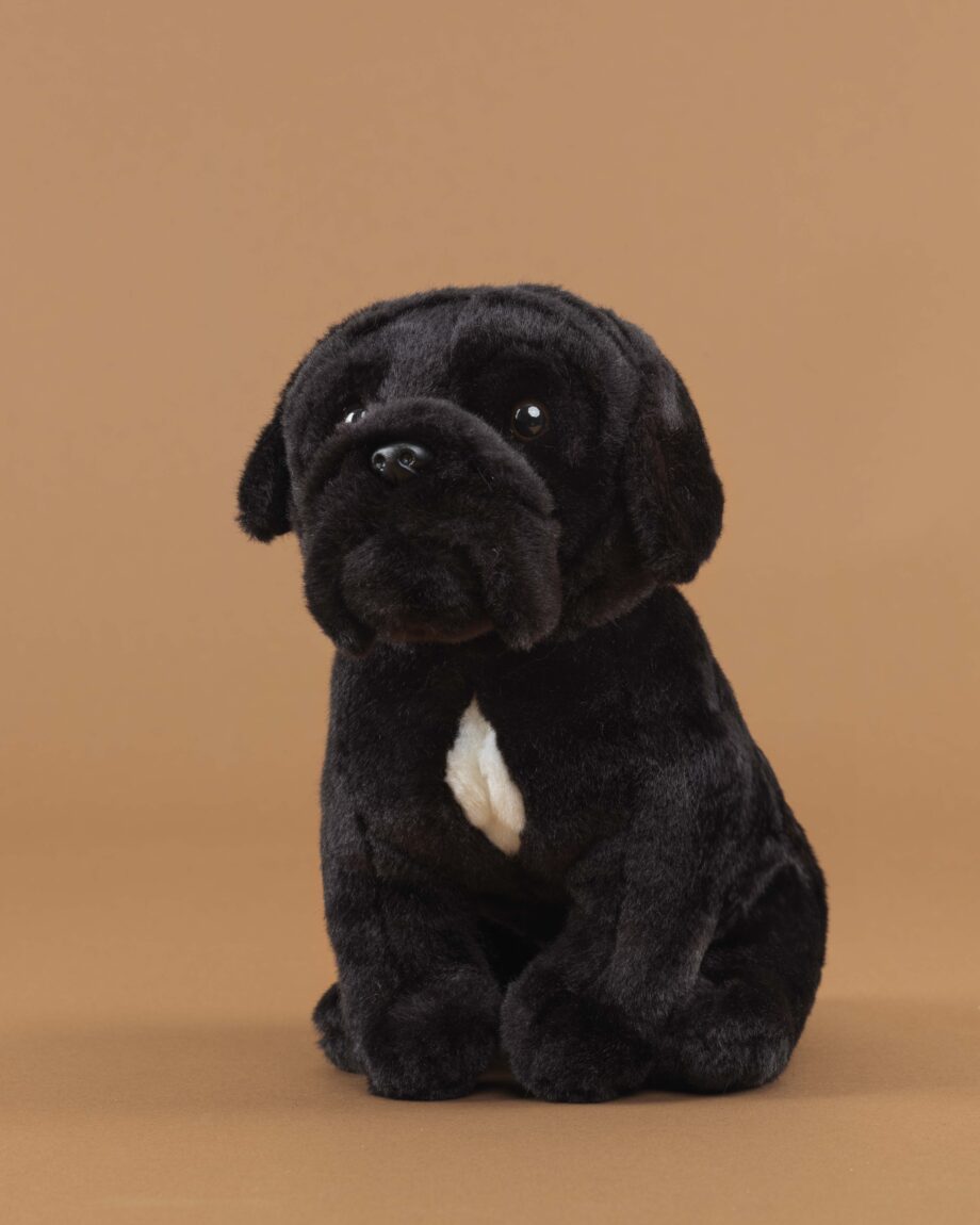 Cane Corso soft toy dog - send a cuddly