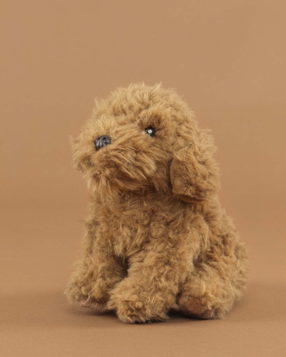 Cavapoo soft toy dog - send a cuddly
