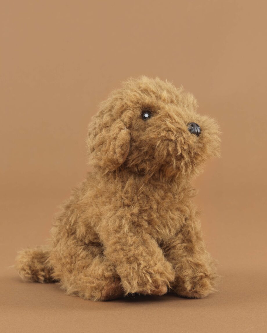 Cavapoo soft toy dog - send a cuddly