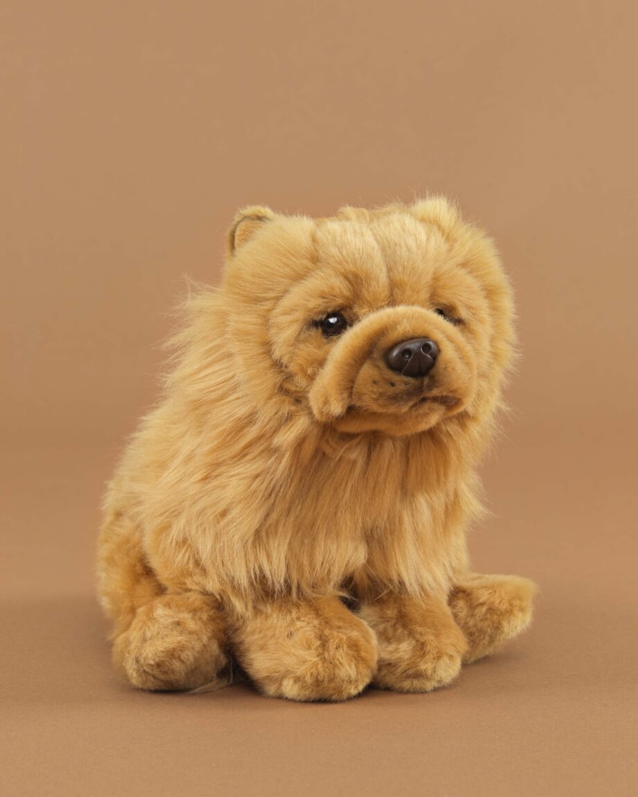 Chow Chow soft toy dog - send a cuddly