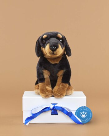 Doberman soft toy dog - send a cuddly