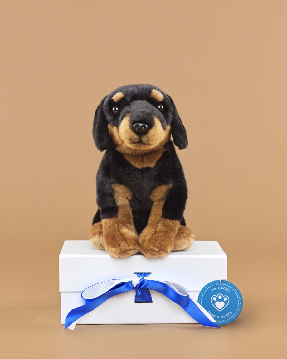 Doberman soft toy dog - send a cuddly