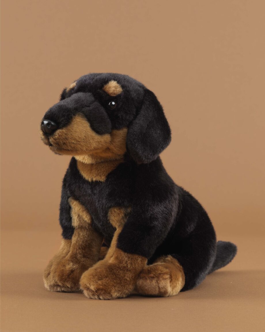 Doberman soft toy dog - send a cuddly