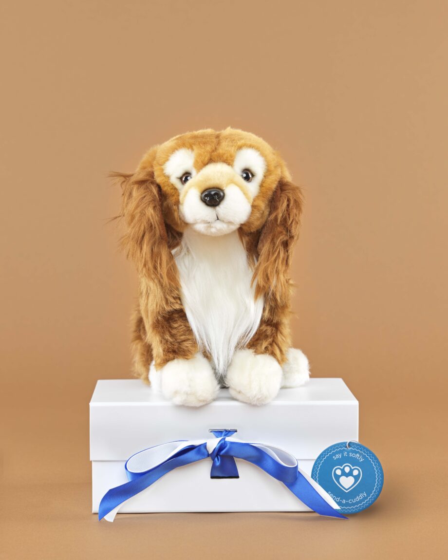 Dorgi soft toy dog - send a cuddly