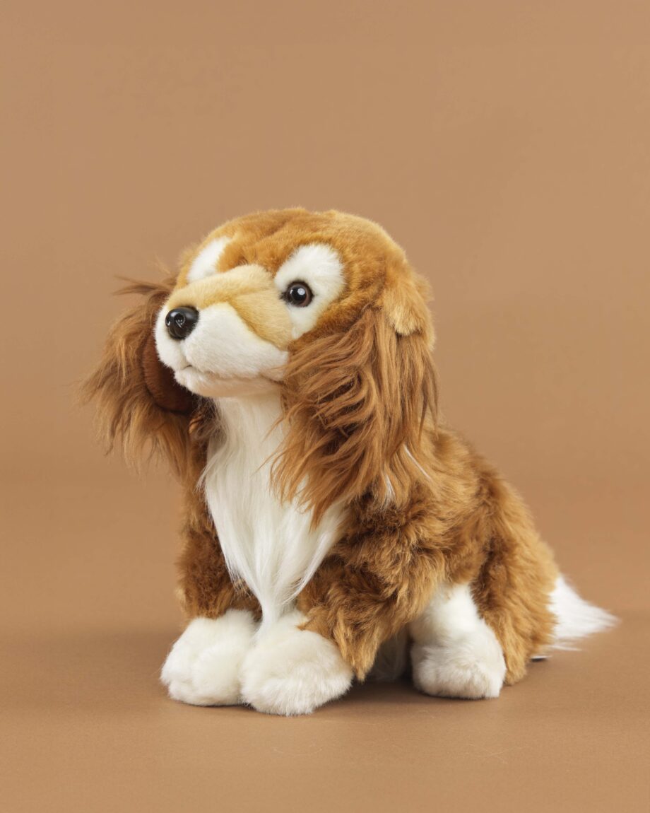 Dorgi soft toy dog - send a cuddly