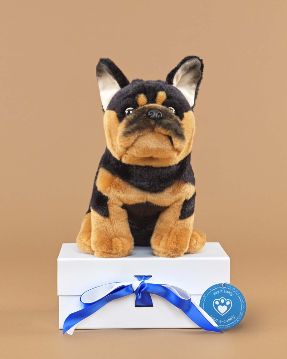 French Bulldog black and tan soft toy dog - send a cuddly