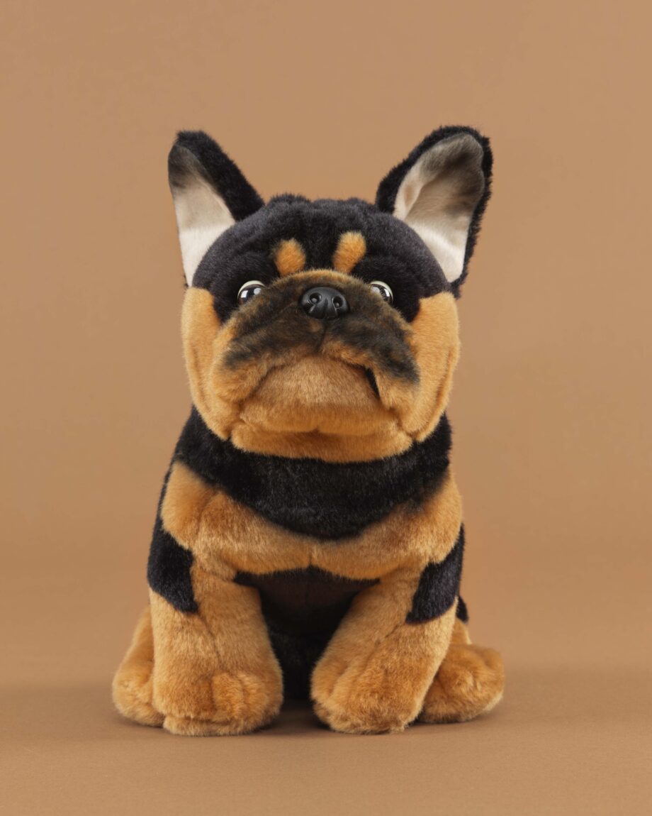 French Bulldog black and tan soft toy dog - send a cuddly