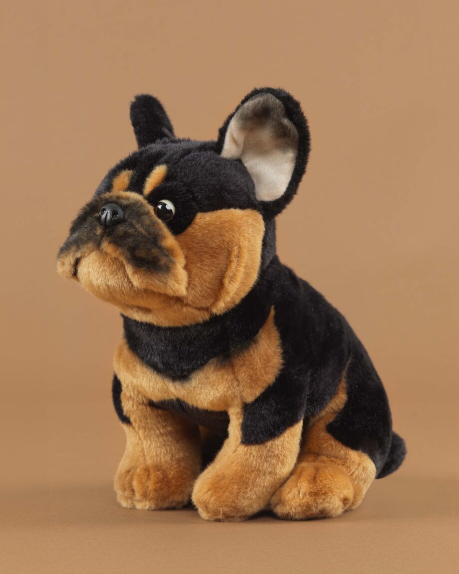 French Bulldog black and tan soft toy dog - send a cuddly