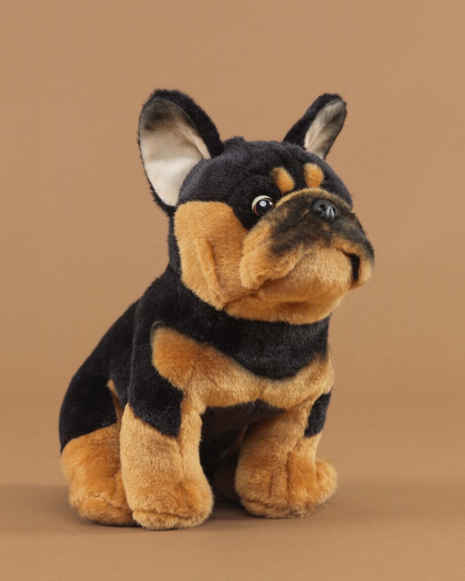 French Bulldog black and tan soft toy dog - send a cuddly