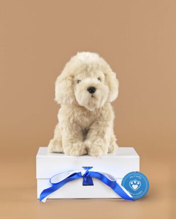 Labradoodle cream soft toy dog - send a cuddly