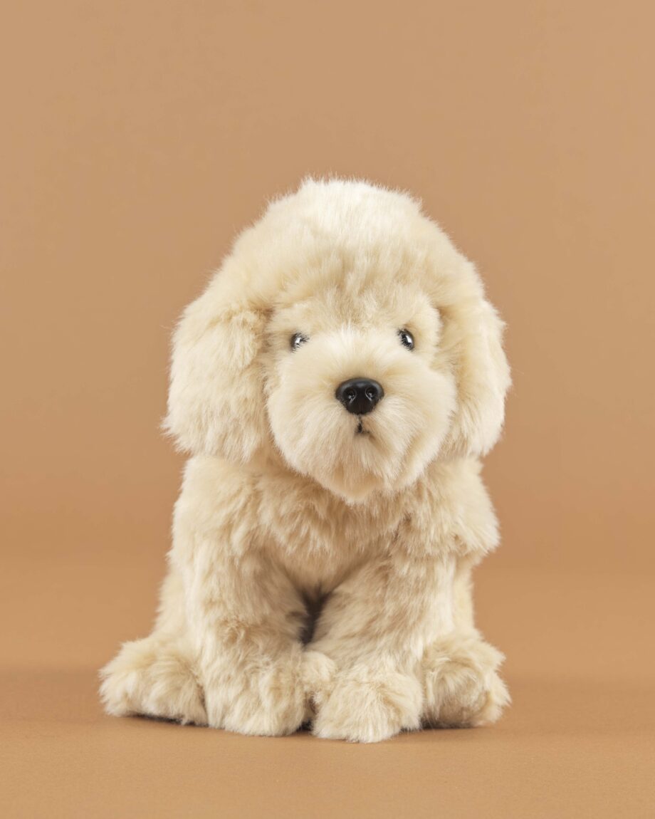 Labradoodle cream soft toy dog - send a cuddly