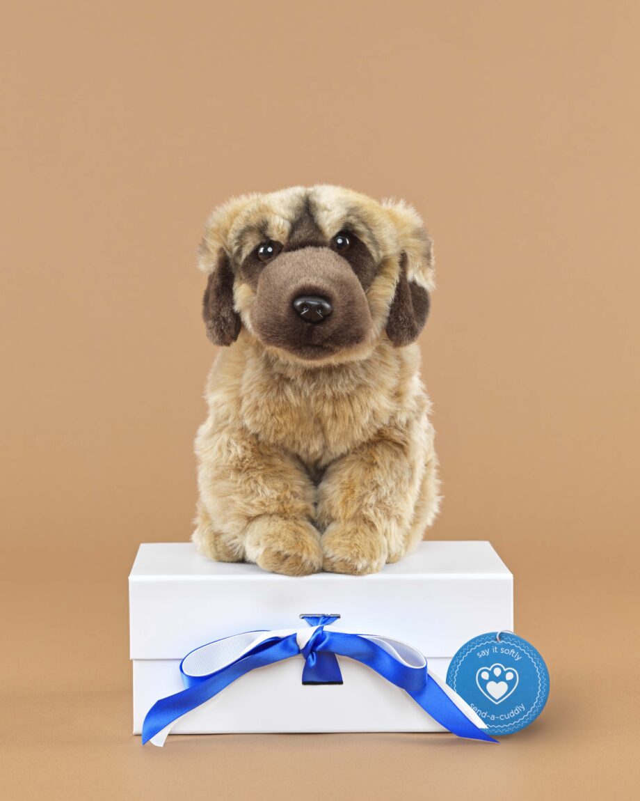 Leonberger soft toy dog - send a cuddly