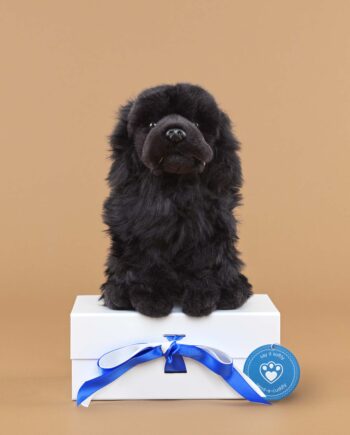 Newfoundland soft toy dog - send a cuddly