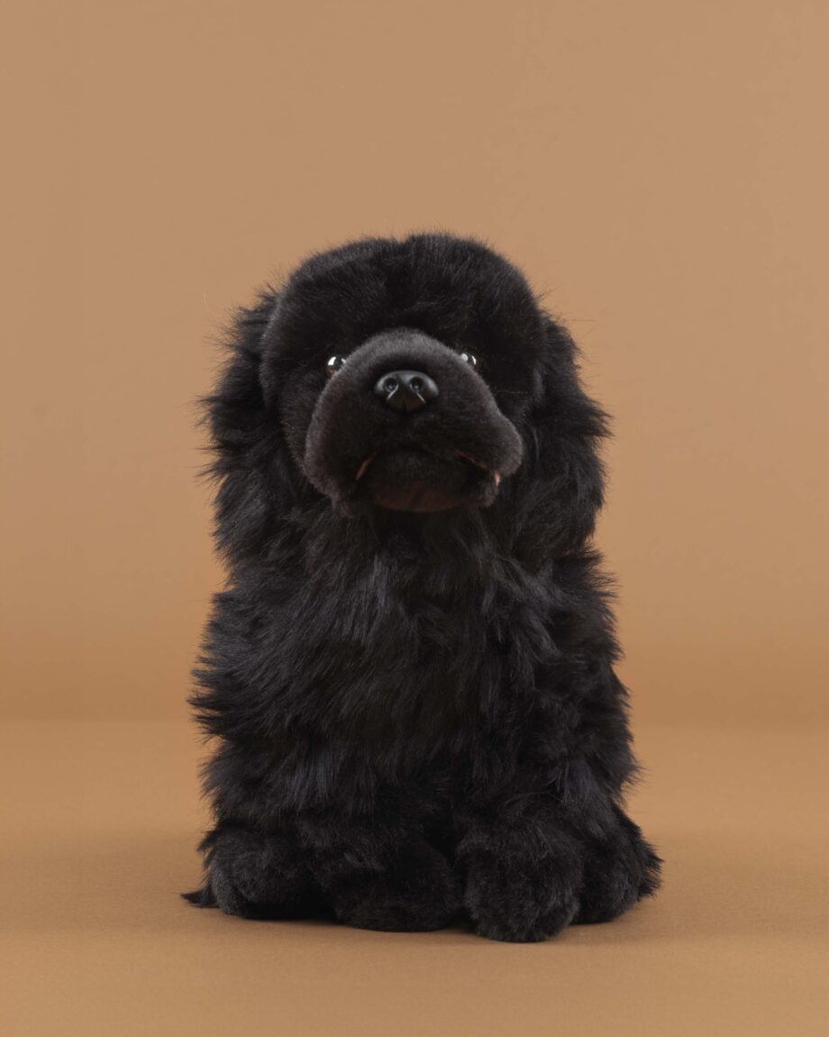 Newfoundland soft toy dog - send a cuddly