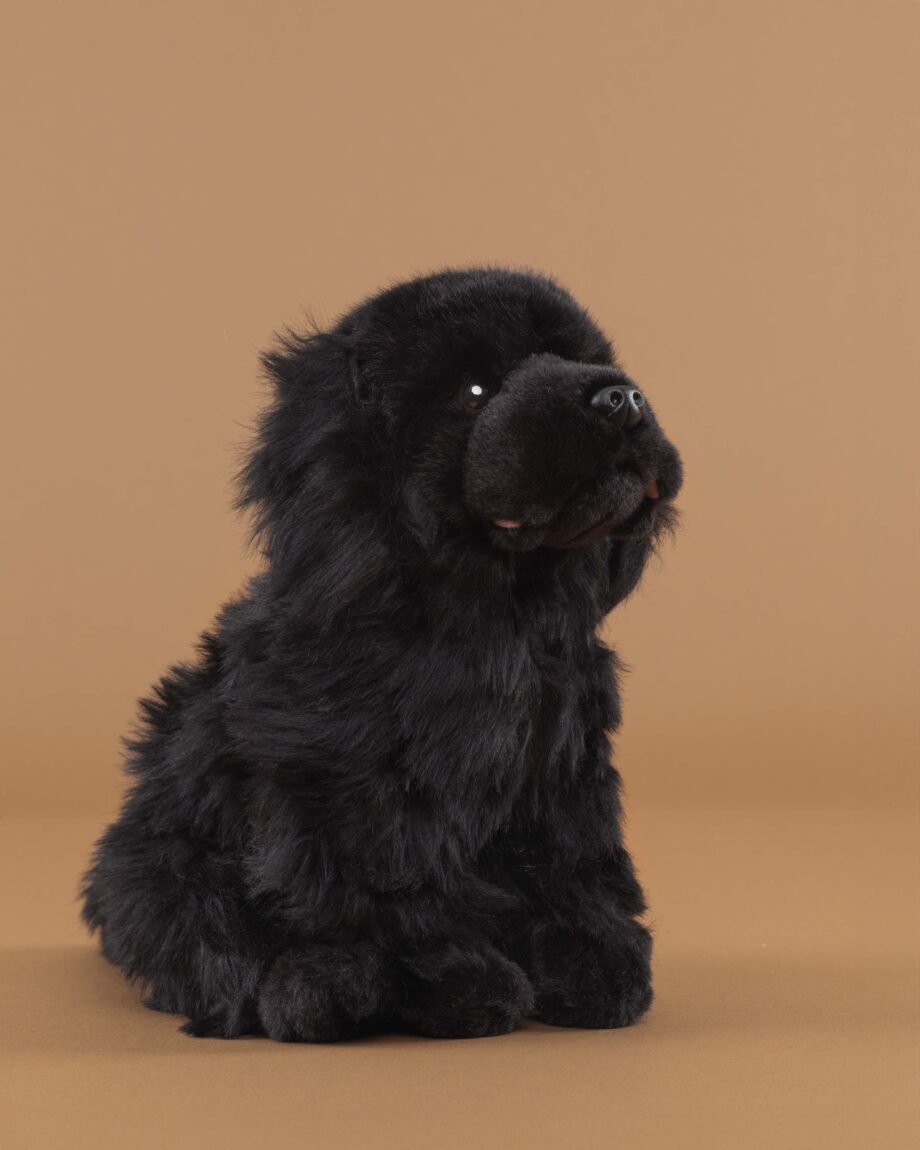 Newfoundland soft toy dog - send a cuddly