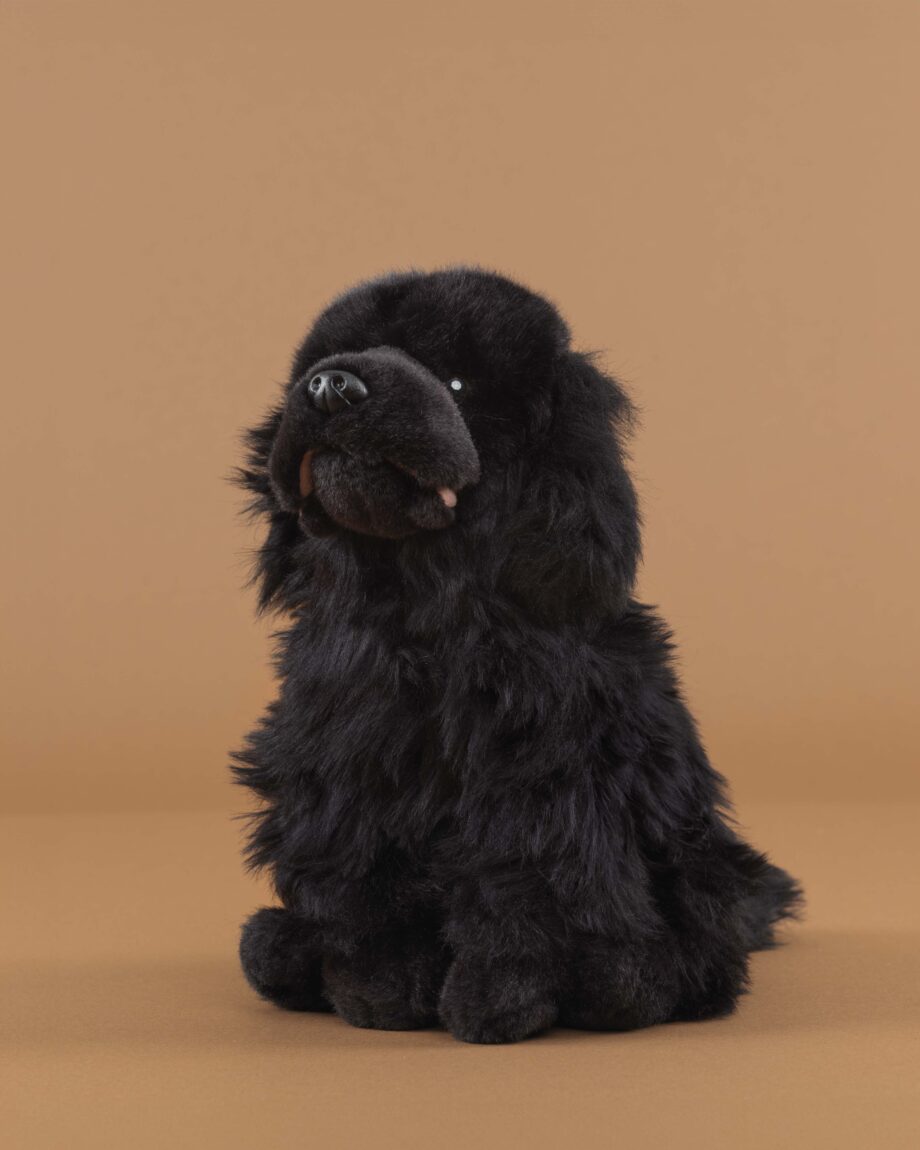 Newfoundland soft toy dog - send a cuddly