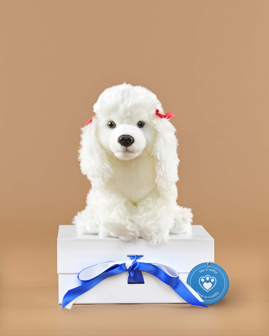 Poodle white soft toy dog - send a cuddly