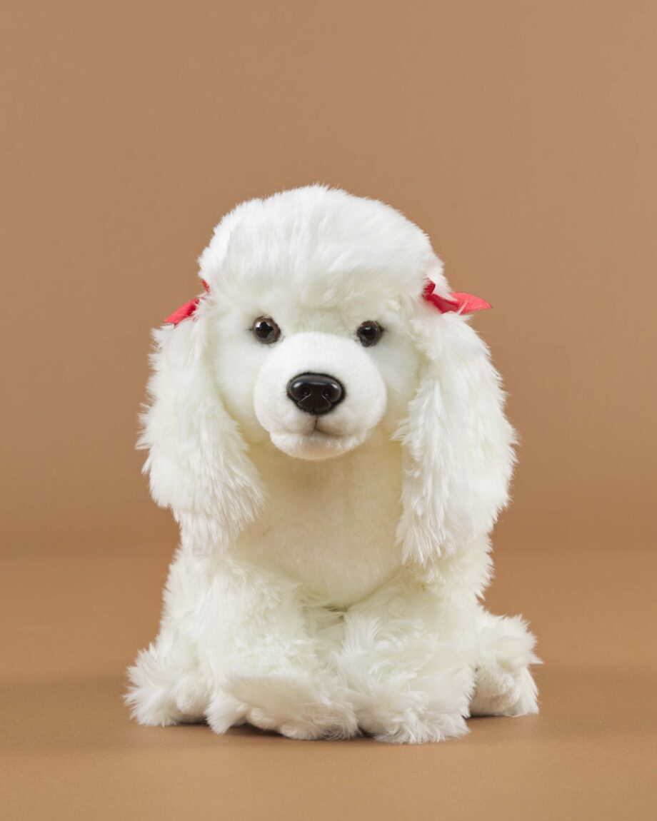 Poodle white soft toy dog - send a cuddly