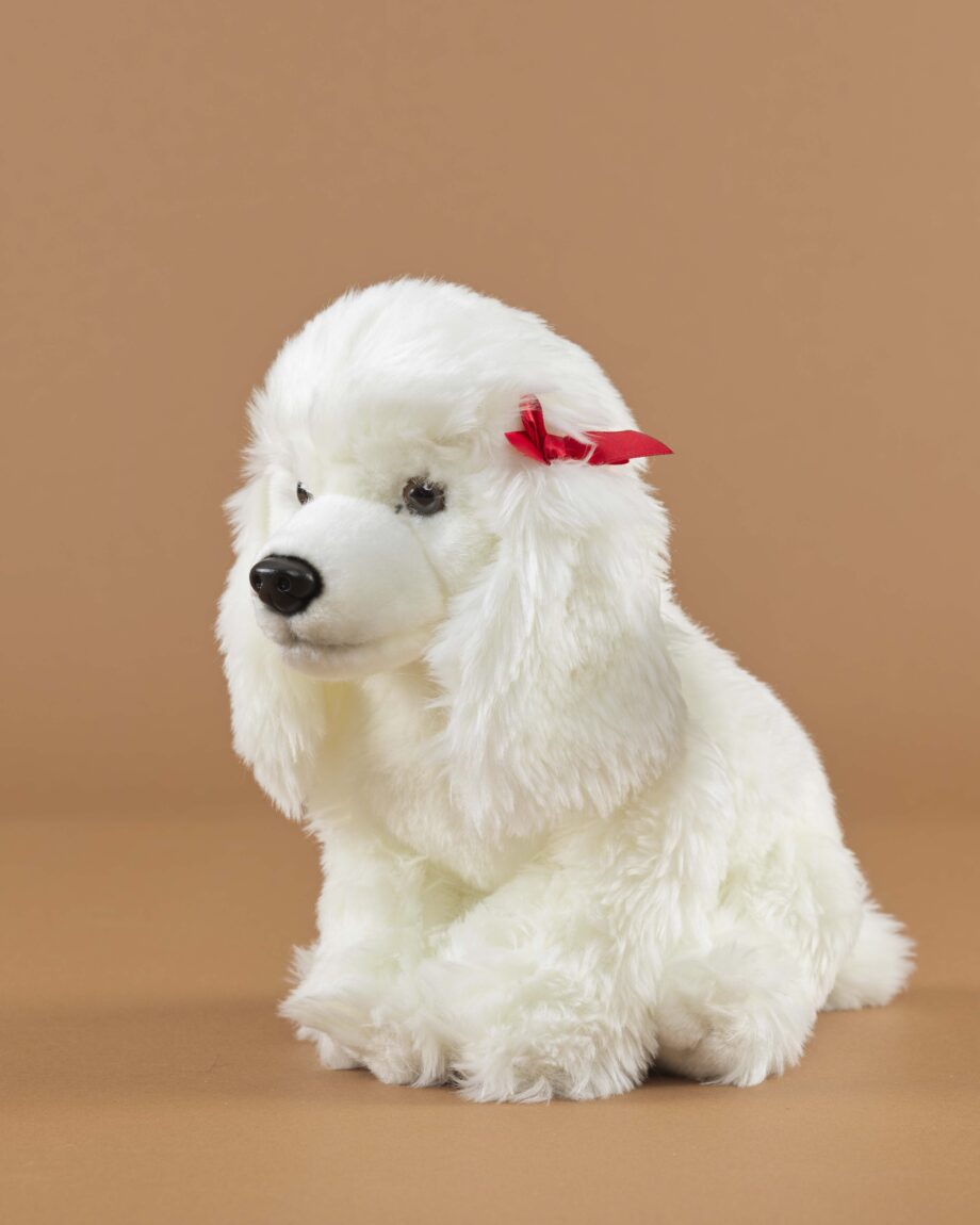 Poodle white soft toy dog - send a cuddly