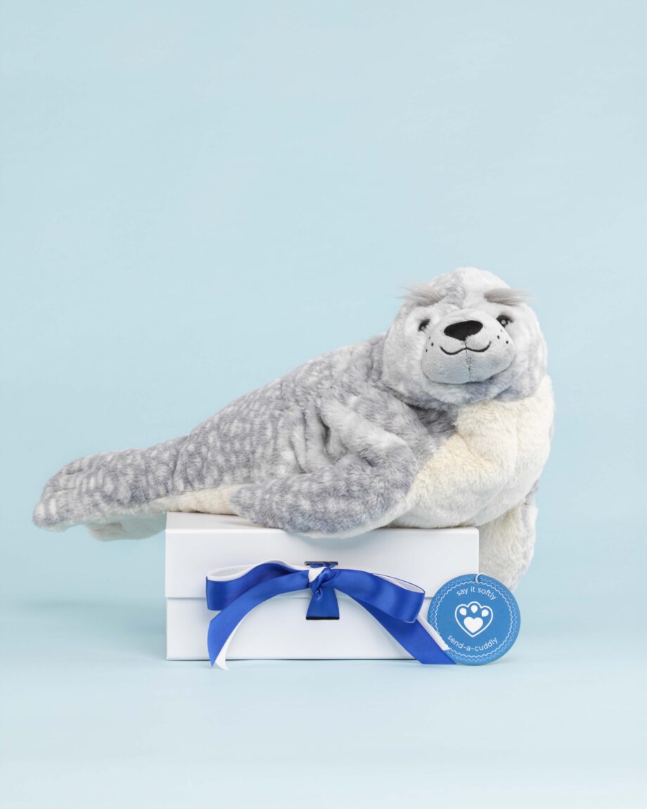 Aila seal soft toy teddy by Steiff - send a cuddly