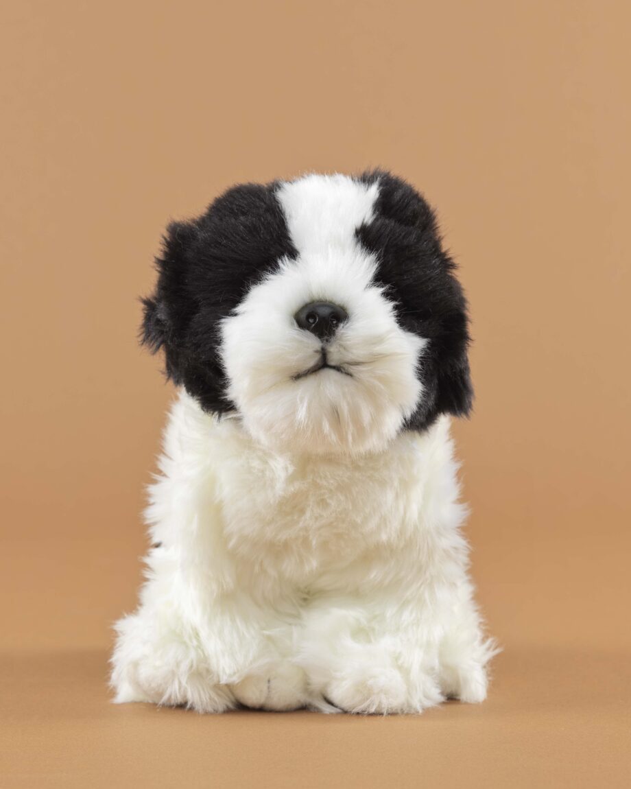 Shih Tzu black and white soft toy dog - send a cuddly