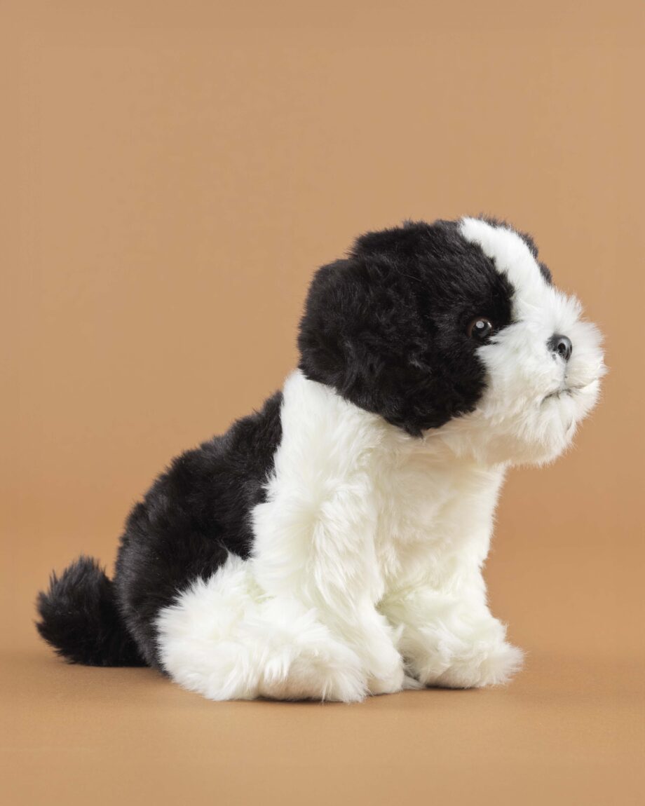 Shih Tzu black and white soft toy dog - send a cuddly