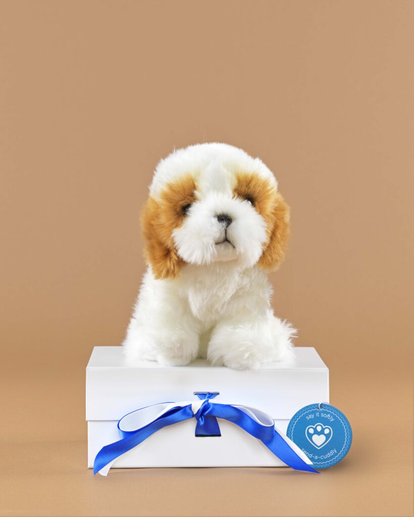 Shih Tzu Soft Toy Red Shih Tzu Cuddly Toy Gift Send a Cuddly