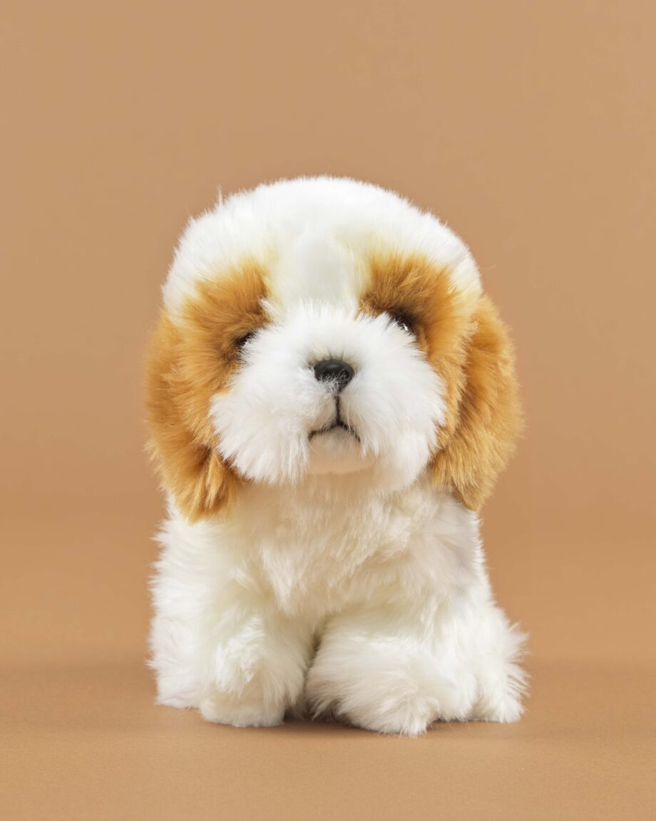 Shih Tzu red and white soft toy dog - send a cuddly